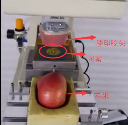 看了同行，才知道移印硅膠在水果上也有應用